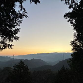 今日はどんよりやな