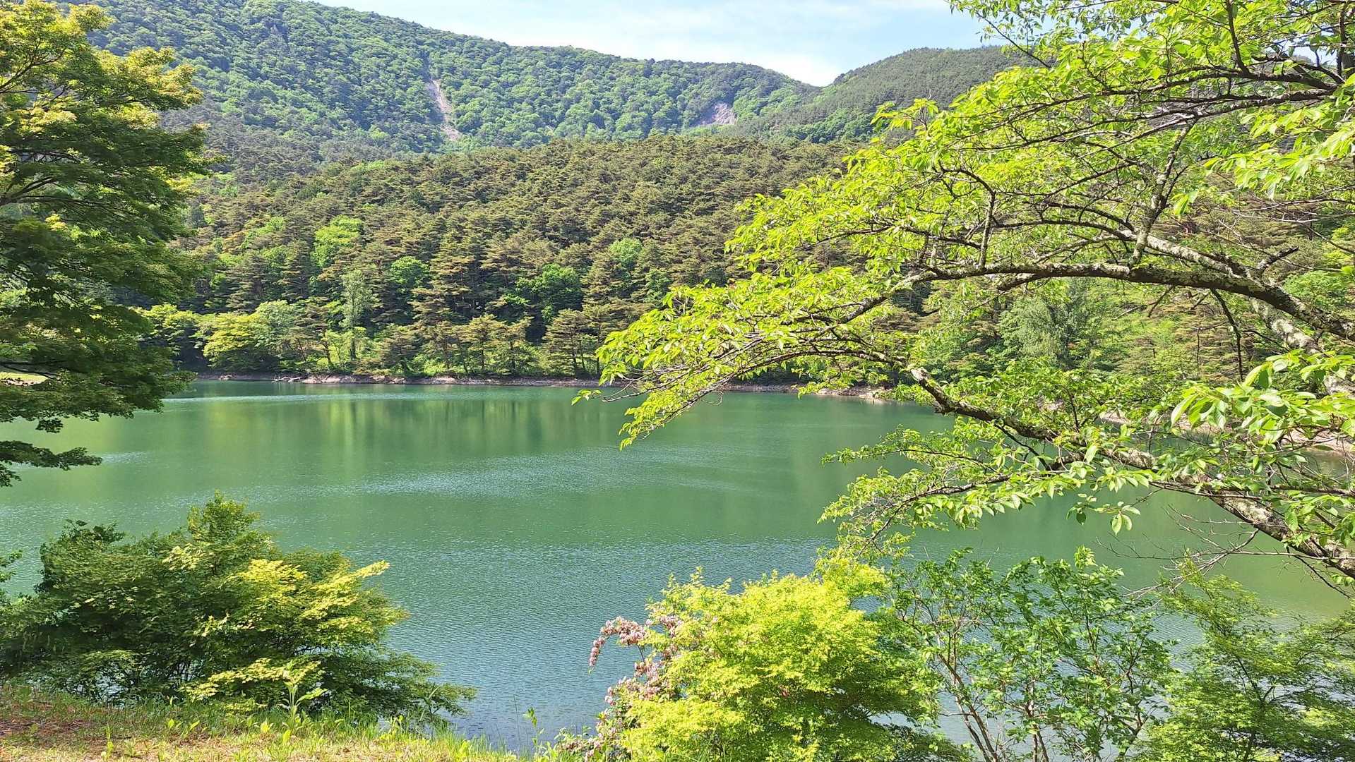 半田山 周回コースの写真