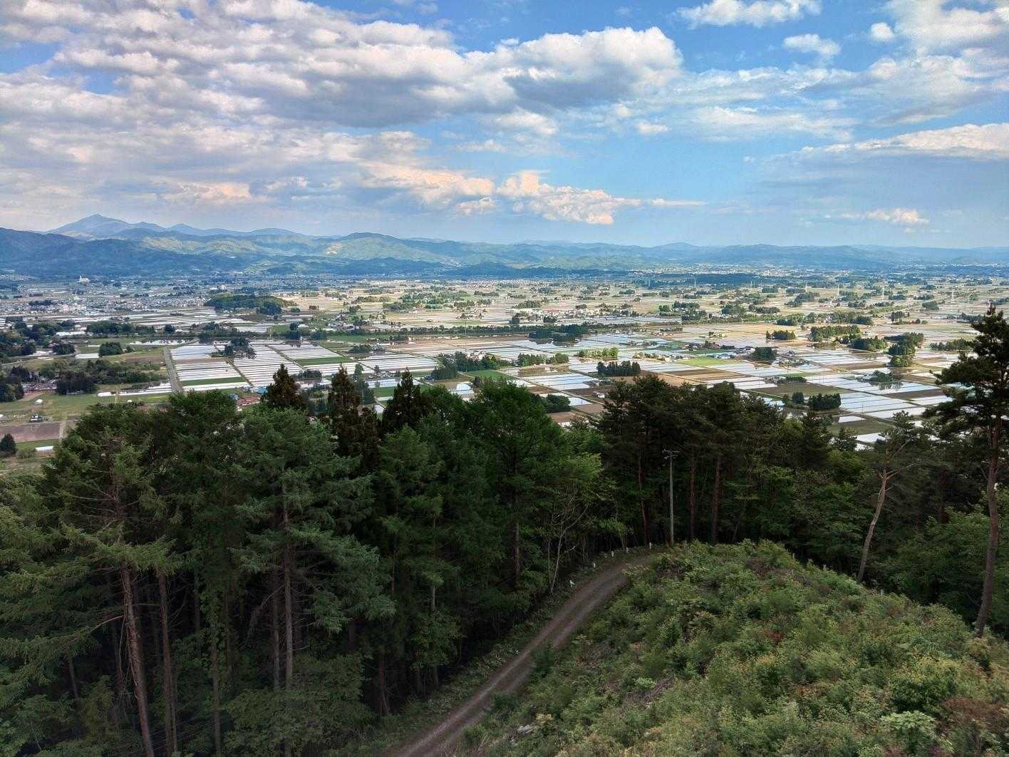 城内山 往復コースの写真