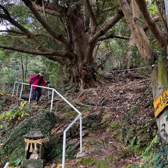 下りは、膝に気をつけてゆっくりになるけど、やっぱり早いね