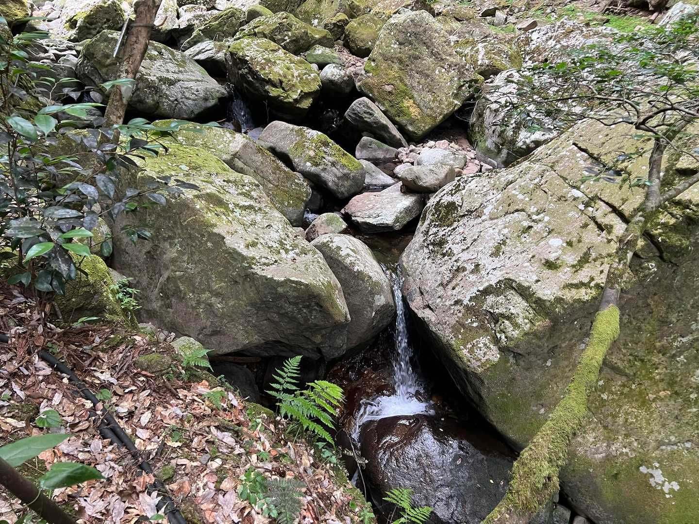 最初の滝【行者滝】です。