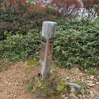 少し下に降りるとすぐに水場があります