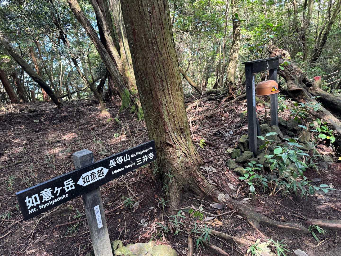 わぁ〜ん💦ってなりながらも、苦手な所を無事通過し喜びの鐘を鳴らしときました🔔🔔🔔