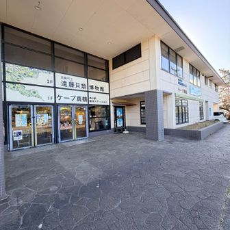 半島の先っぽなのに、道の駅ならぬ森の駅