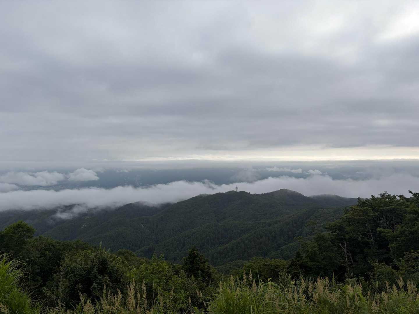 下山後、あの塔がずっと目印になった✨