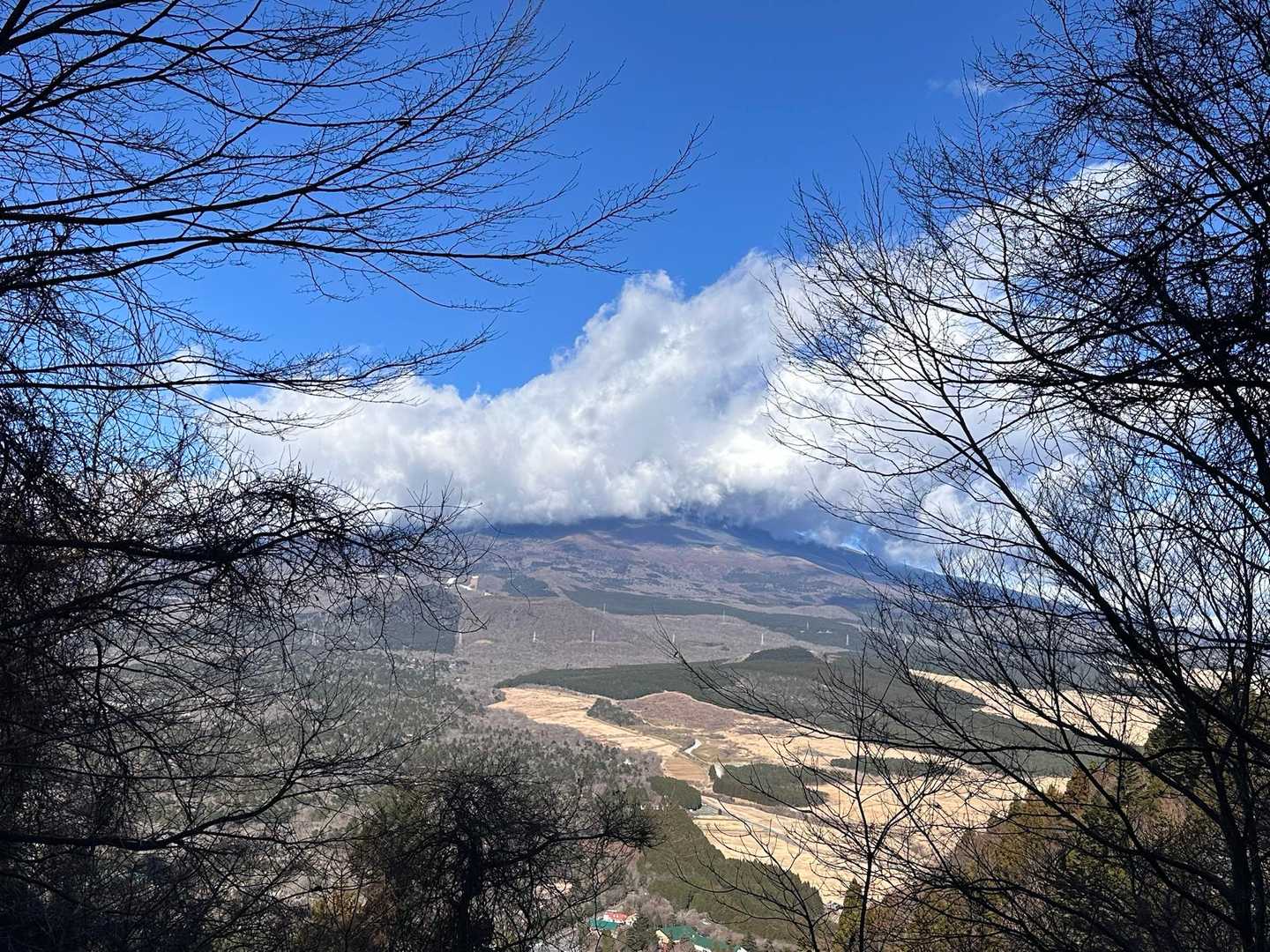 十里木高原登山口-越前岳-富士見台-富士見峠-黒岳-山神社 縦走コースの写真