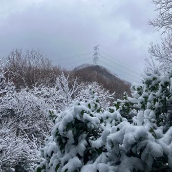 城山が見えます🏔️