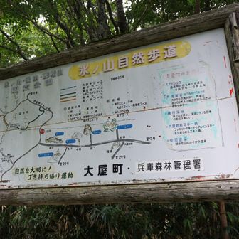 登山口まで無事帰って来ました
