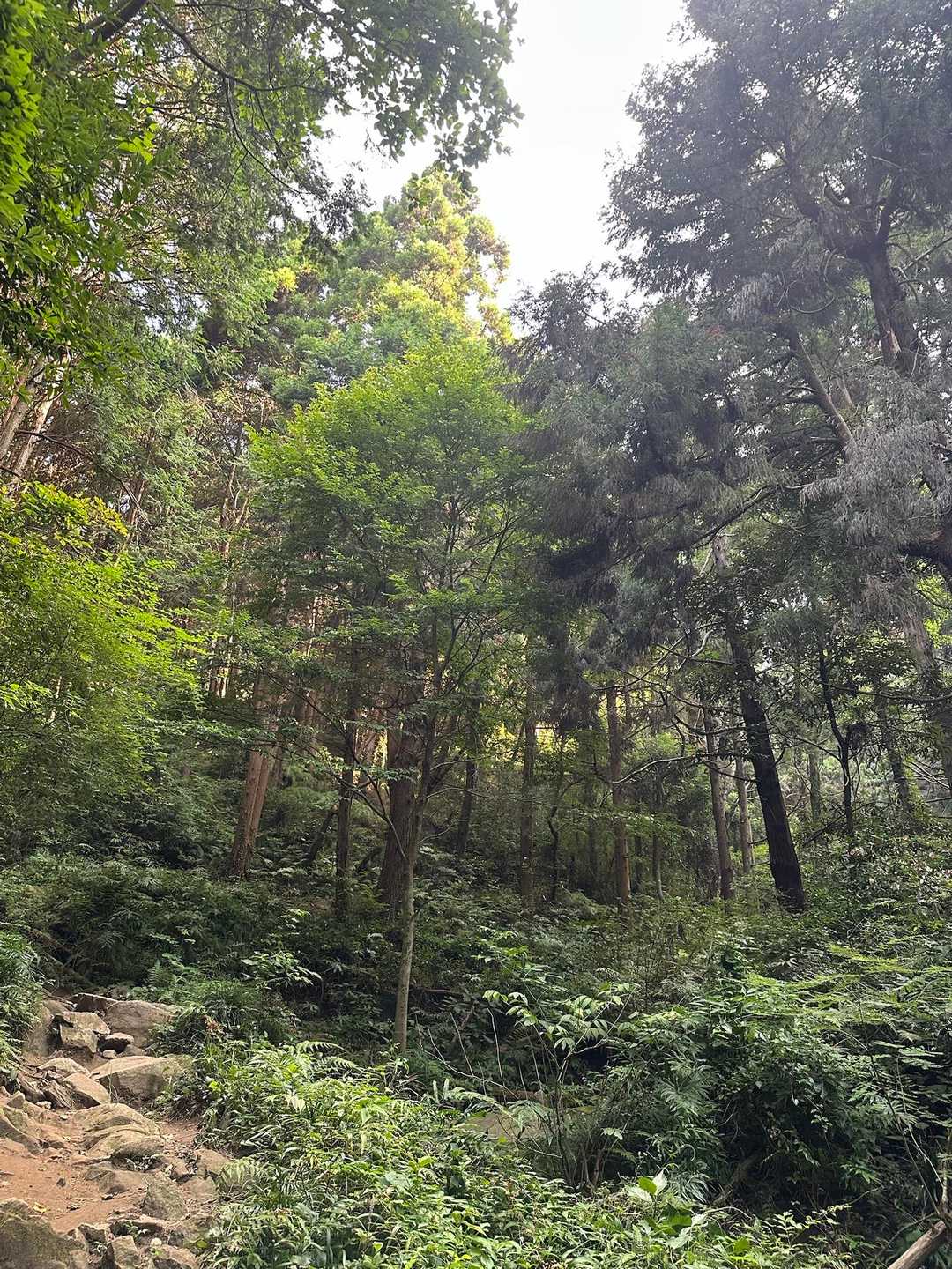 極楽寺コースの写真