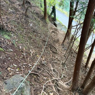 名栗湖が見えました