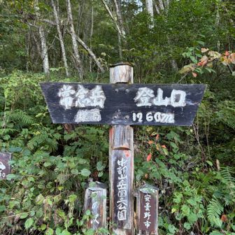 ここからスタートです。まだ、元気です！