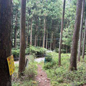 あっと言う間に間も無く舗装路に出ます