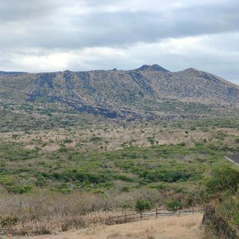 独特な雰囲気です