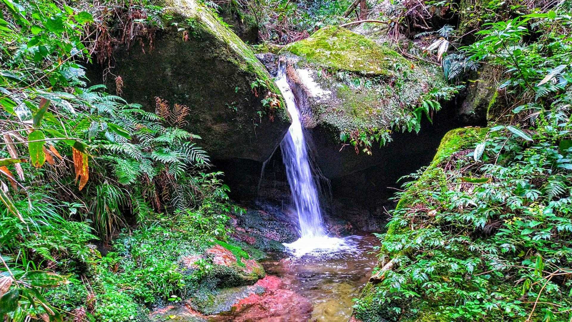 沢に降りて📸