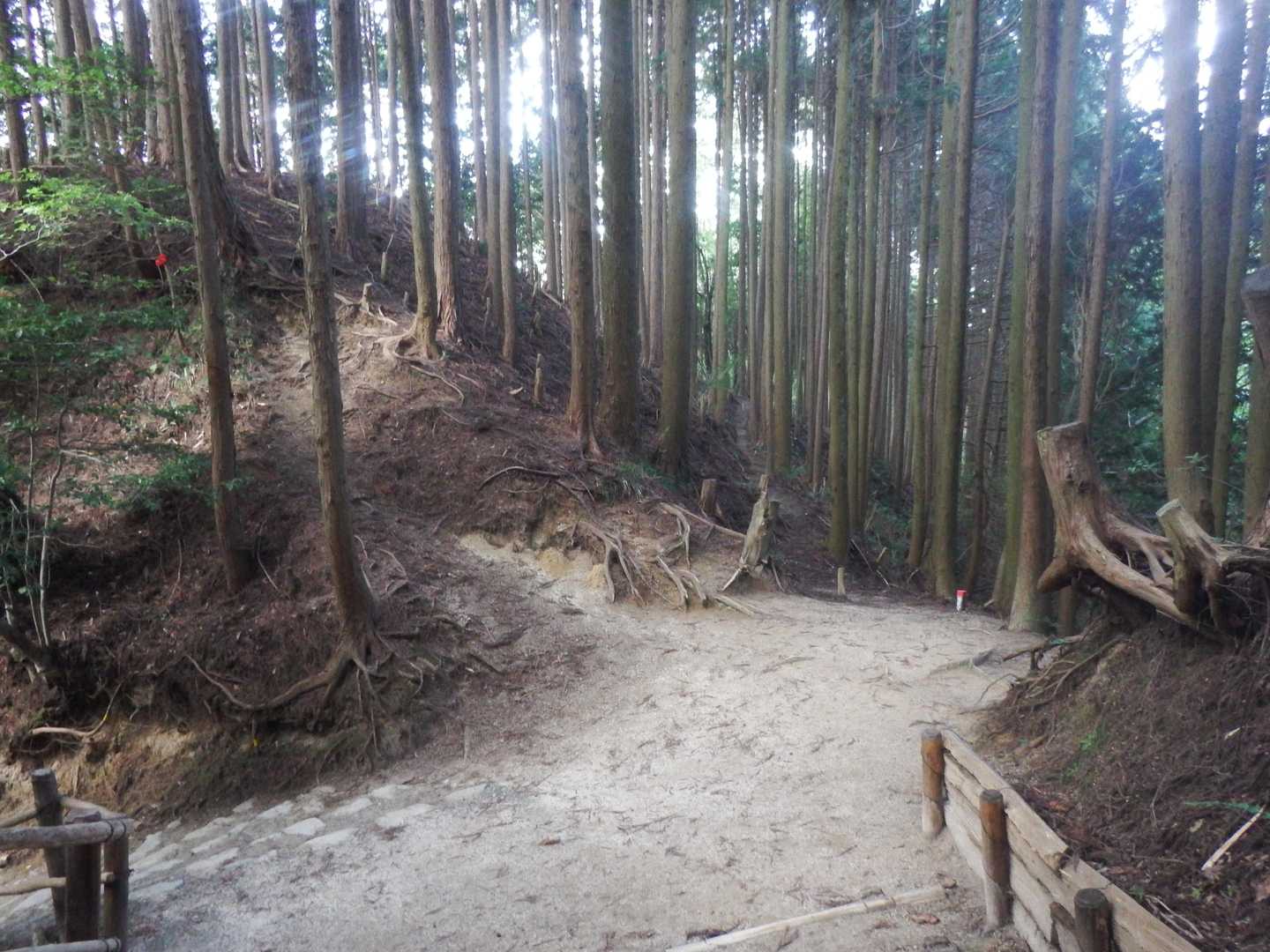 ５合目下の　ささやきの小径との分岐