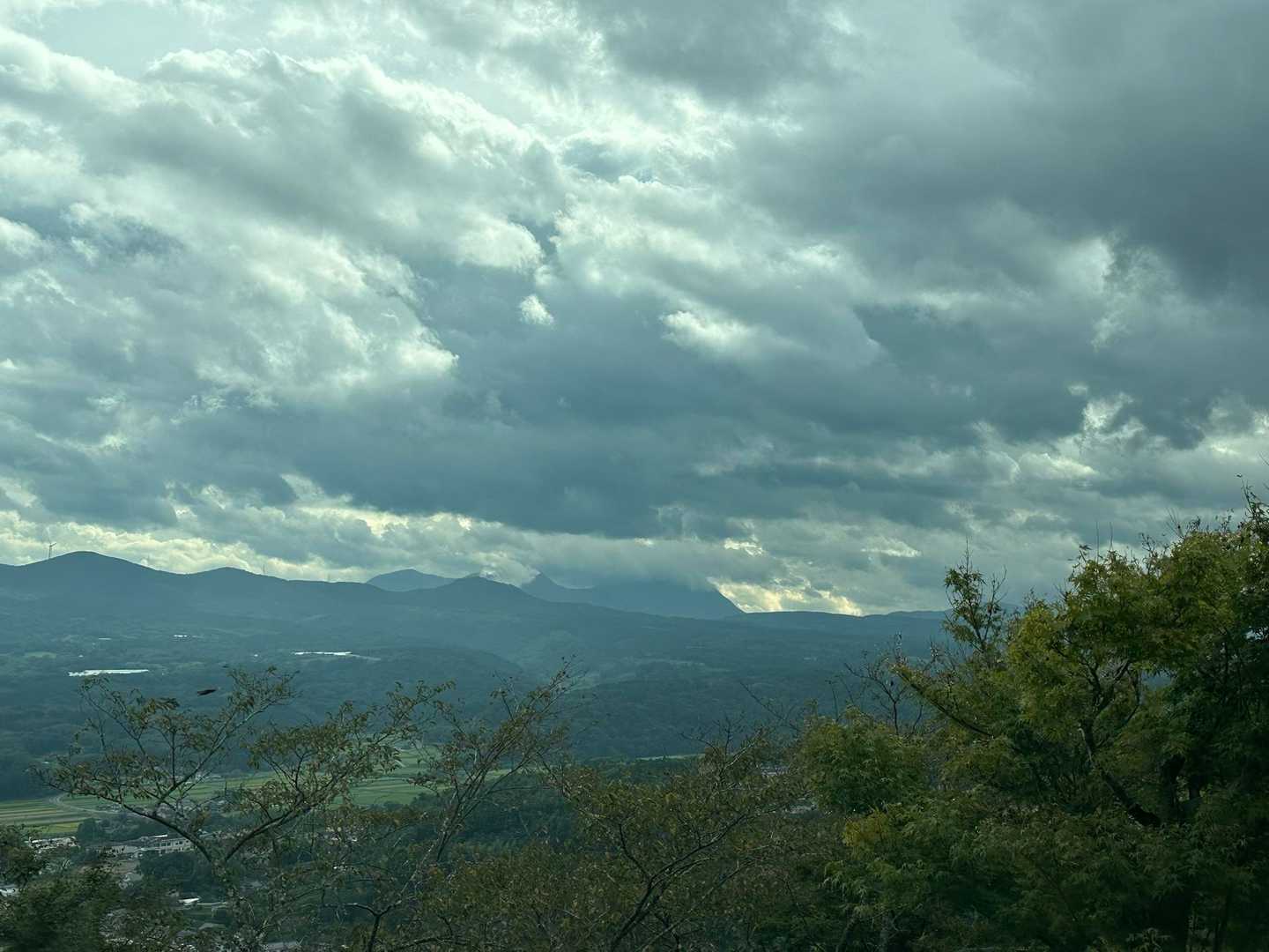 今日は天気がイマイチだよね！