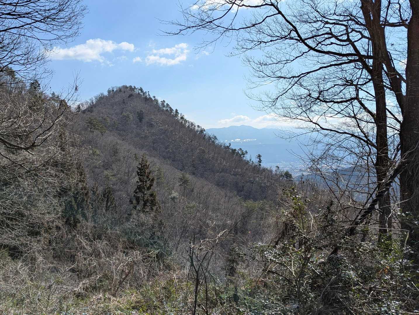 からの富神山