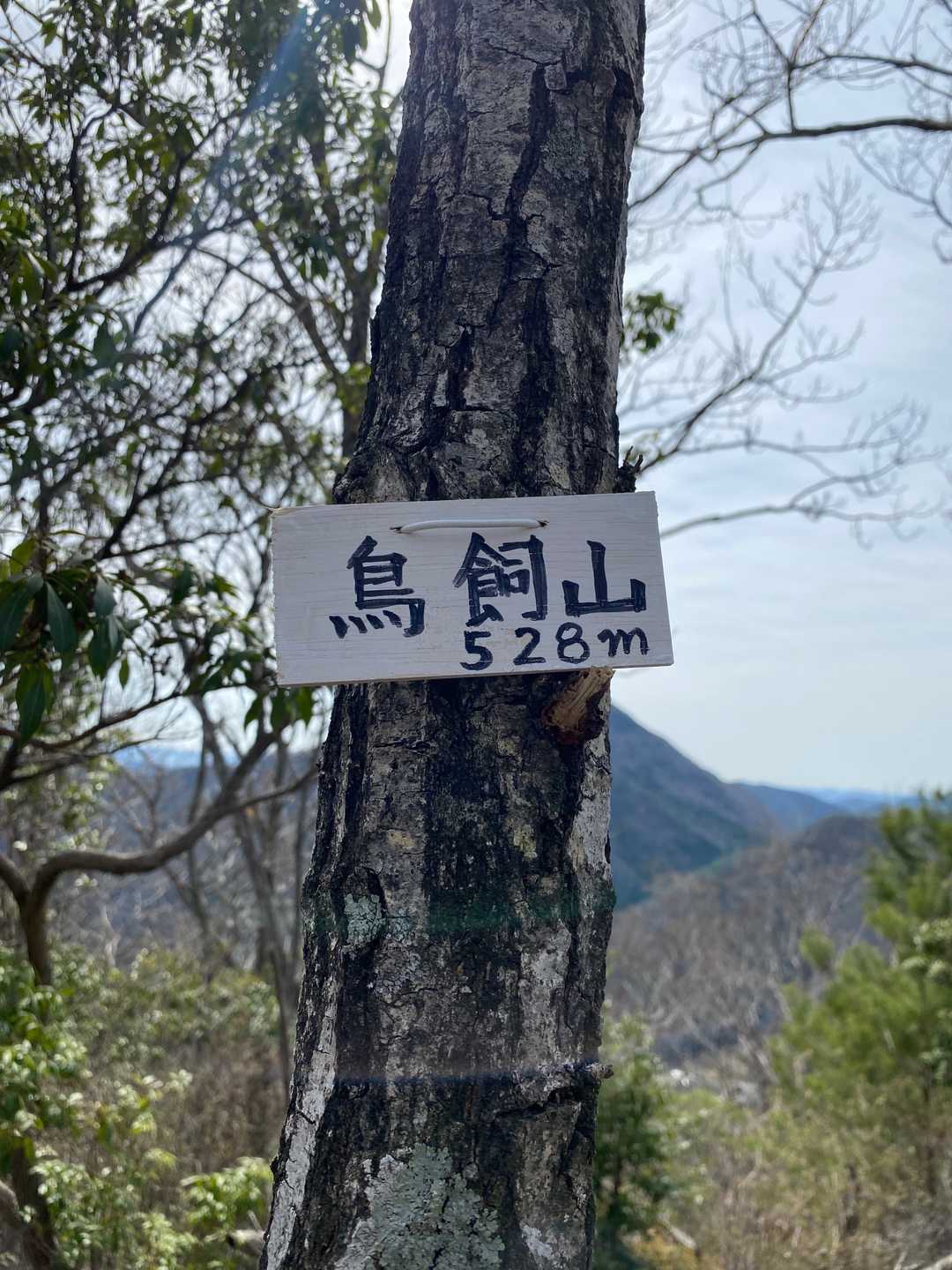 さっきの新しめの看板と同じ感じなので同じ人でしょうね😊