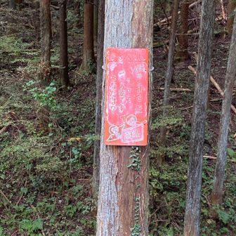 野鳥を獲るには許可が必要です