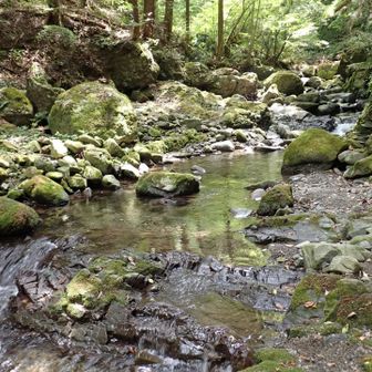 千石谷、１年１か月ぶり
前回はメンバーのアクシデントがあり、気が気でなかったので　
今回、存分にのんびり楽しみました
やっぱりいいところですね