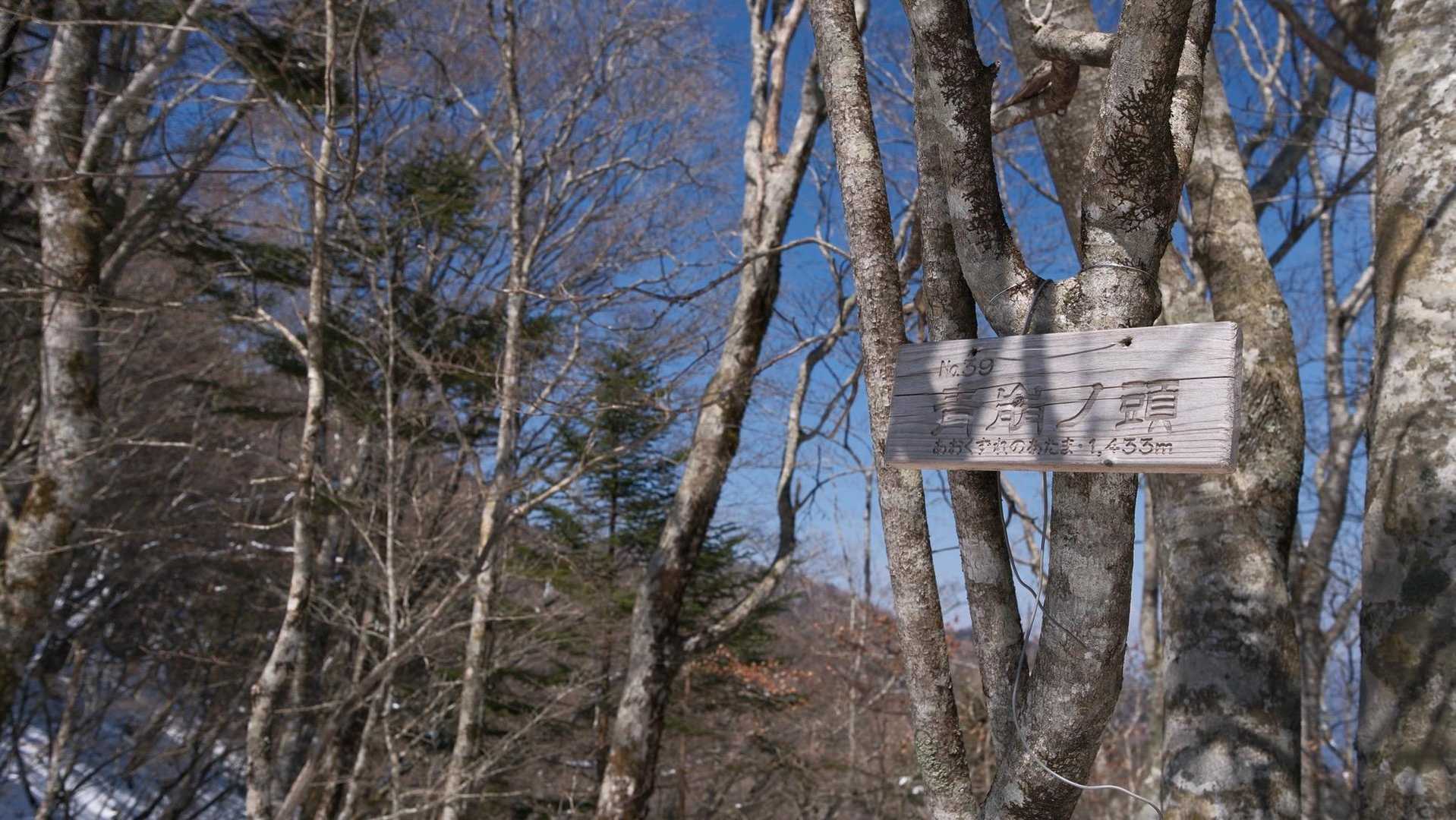 青崩の頭1433m