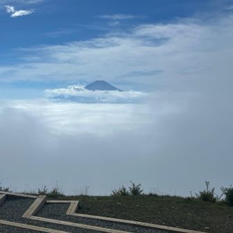 来て良かったかも