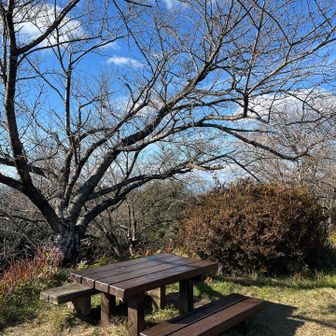 ここでランチタイム🍙