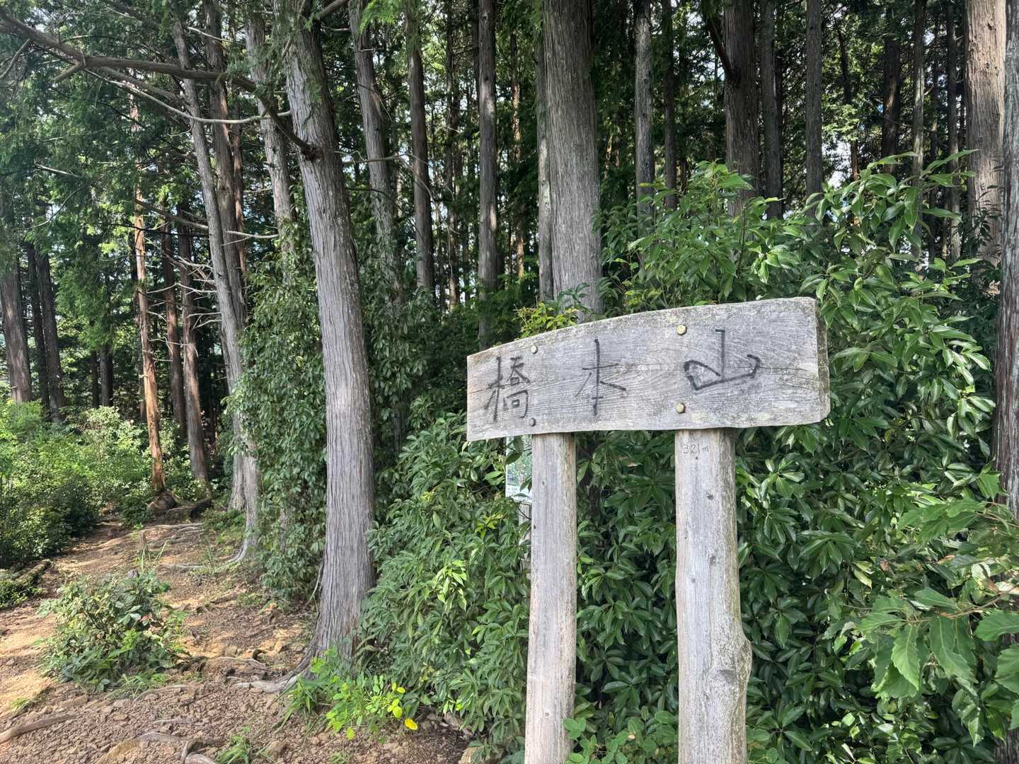 橋下山⛰️
ベンチあり。
