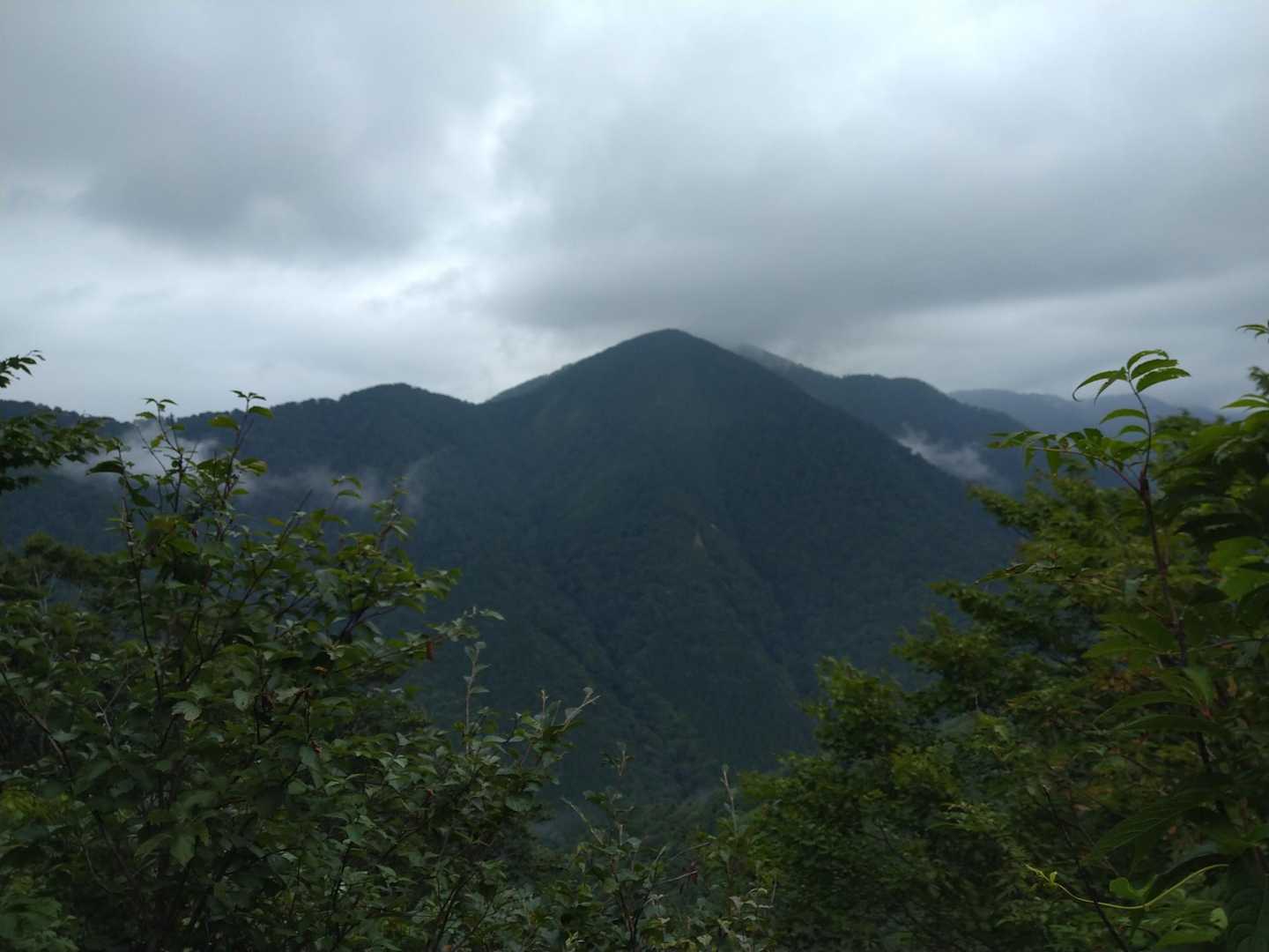 途中で刈り払われたところから、台山が顔をのぞかせてくれました。