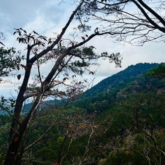 眺望はほぼなし👀