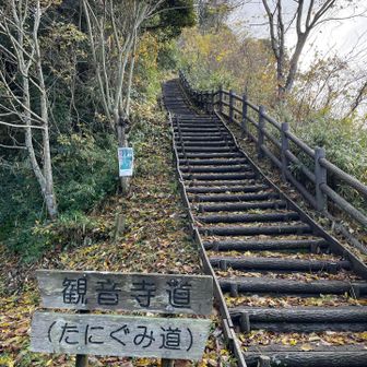 そろそろ階段にも慣れてきた😅
ここから登ってピストンにしましたが、同じ石田町の日吉神社から登って周回にしてもよかったかも。整備された周回コースになっていたので。
ちなみに石田町は、石田三成の出身地✨