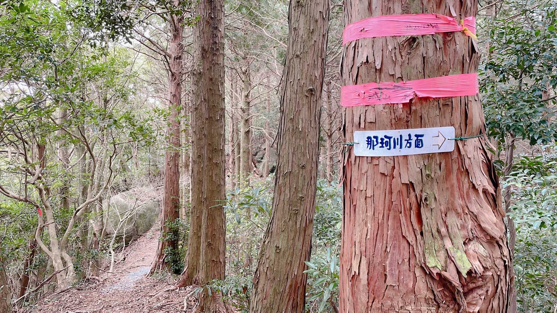 終盤、結構登りでキツかった💦