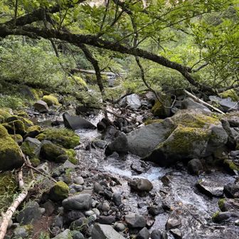 立沢ルートは下が荒れまくってました。
舟山十字路サーキットは道が笹漕ぎ状態で
おすすめしません💦　　

どうせやるなら、一台を富士見高原無料駐車場🅿️へ
もう一台で舟山十字路へ停め、後回収が望ましいです。
似たような八ヶ岳キレット周回出来ますよ！

しかし結果的に今回、妻が八ヶ岳全山登頂のお手伝いが出来たのは収穫で良かったです。

妻はこれにて
三ツ頭　権現岳　編笠山　西岳　旭岳　ツルネ
キレット　赤岳　中岳　阿弥陀岳　横岳　硫黄岳　峰の松目　夏沢峠
南八ヶ岳完登　

今回、妻本人には少し背伸びして頑張ってもらった
ルートです。　
褒めツアー登山⛰️の位置付けでした。

最後までお閲覧頂きました皆様にも
感謝します。


