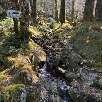 大好きな源流かも…😊