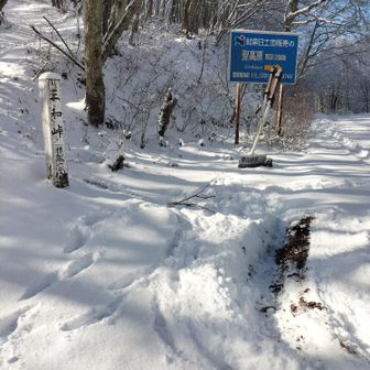 私がズボッた!?
ハマった溝😱
