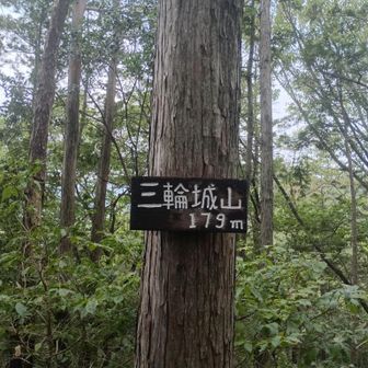三輪城山到着。