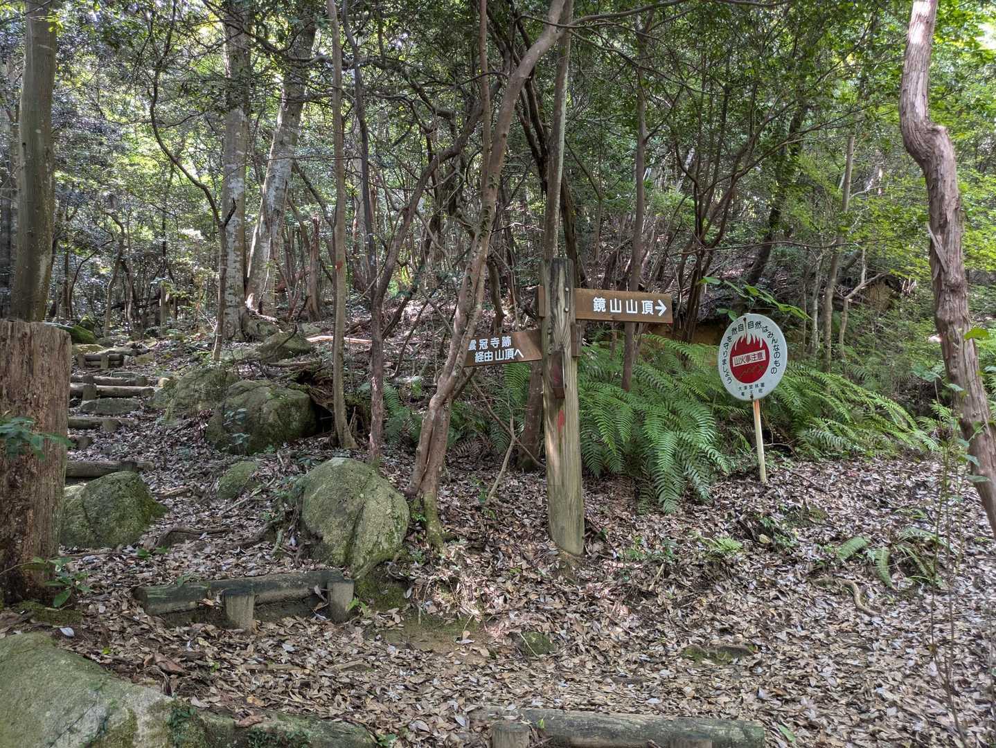 鏡山 往復コースの写真