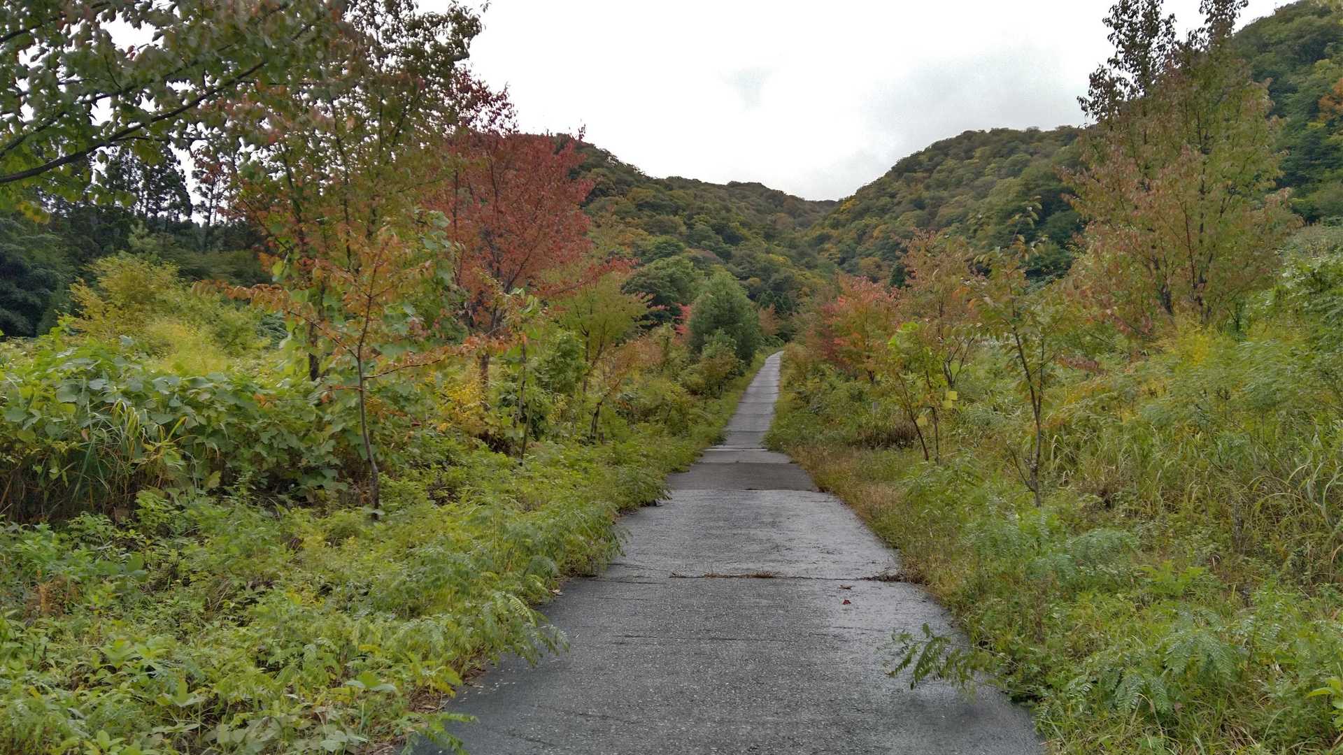 荒島岳勝原登山口-深谷ノ頭-シャクナゲ平-荒島岳-小荒島岳 往復コースの写真