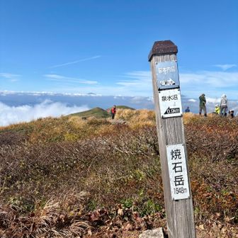 山頂！