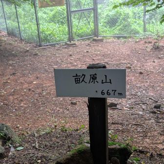 畝原山▲