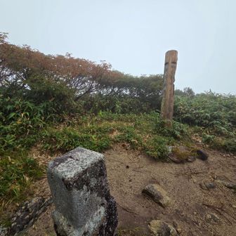 ⑮地神山、登頂👍