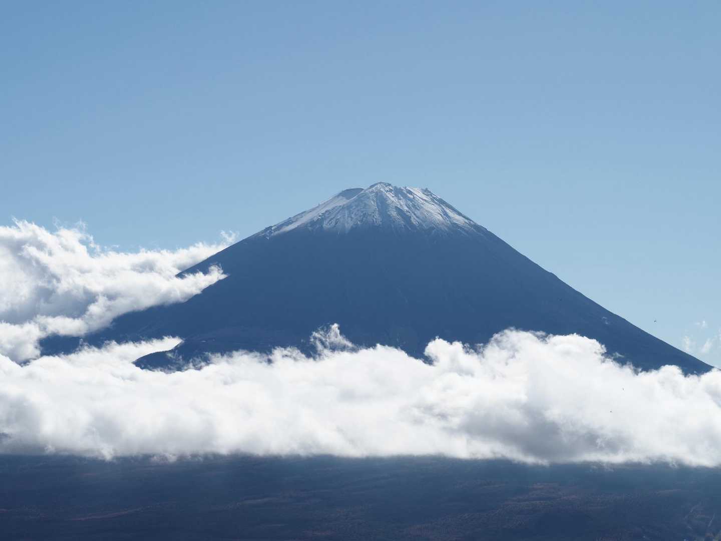 王岳登山口-王岳-鍵掛-鍵掛峠-鬼ヶ岳-東入川堰堤広場登山 周回コースの写真