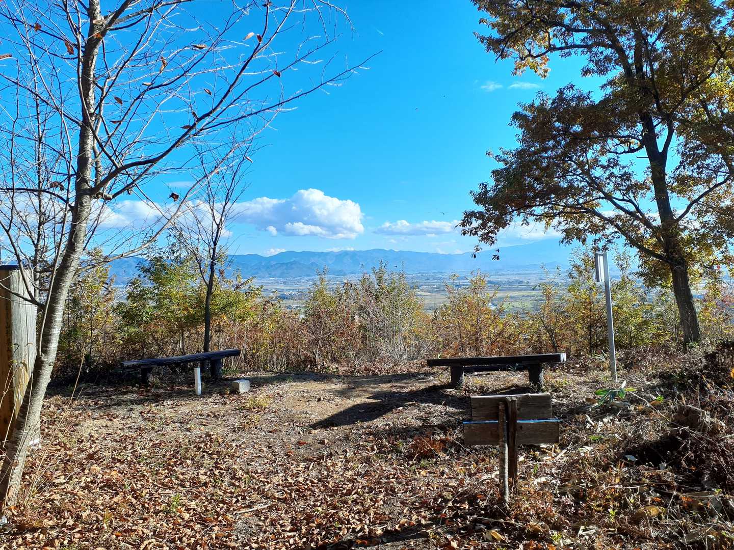 竜樹山山頂
三角点がありました