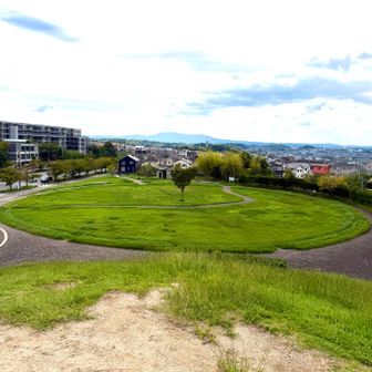 頂上からの景色✨
ほんの数メートルあがるだけやけど、景色はよく見渡せる👀