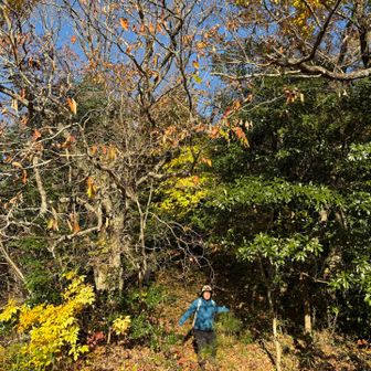 お昼食べてから下山