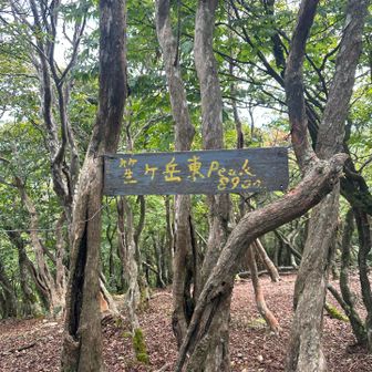 笙ヶ岳（東峰）
890ｍ