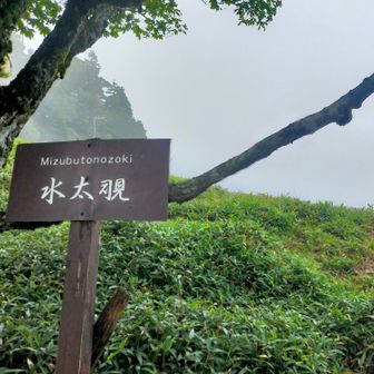 水太覗