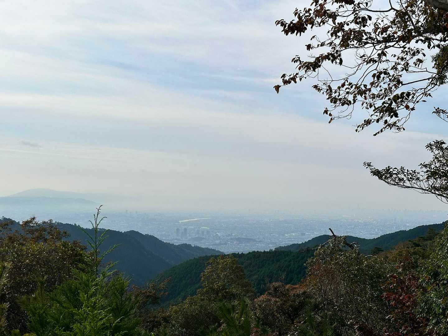 無駄にポンポンして疲れたので🤣
ひと休みしてたら

麓で見かけた若い子が上がってきた！！