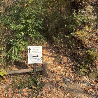 新サンドイッチ山へは国見山方面へ