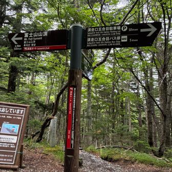 えーっと　単純に見て須走ルートで5時間で富士山ピークって事なのかな？
うーん　信じがたいよね
2019年に吉田ルートで富士登山した時に6合目で一泊8合目でデポして山頂行き、8合目に一泊して2泊3日で下山して来てるから、、、、
須走ルートならルート上の9合目あたりに一泊でも無理しないで富士山登山できるのかぁ